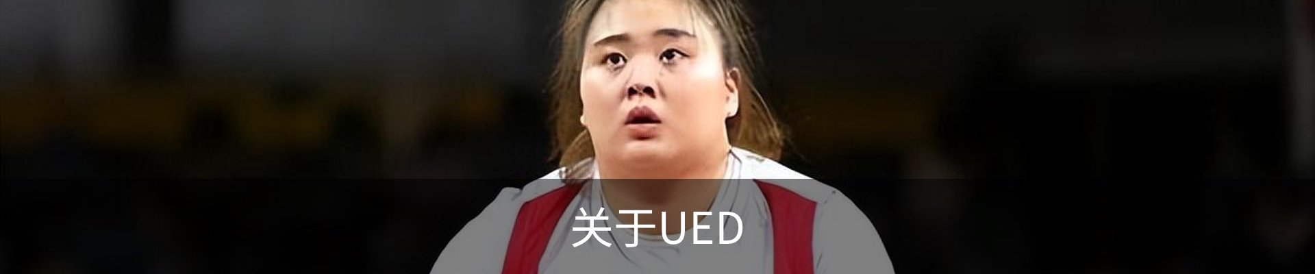 关于UED